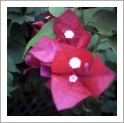 PICT0012