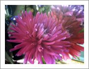 PICT0024