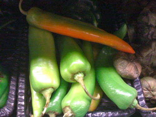 bclPepPIMG_1002