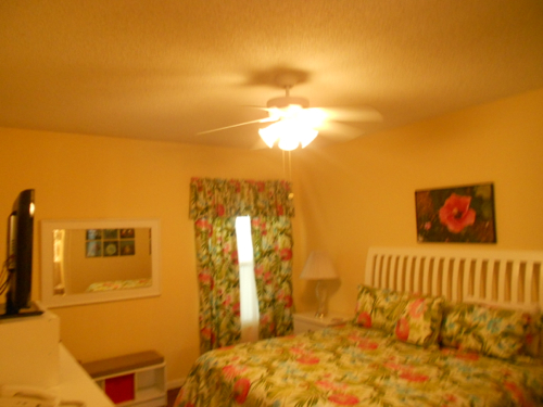 DSCN1624 Redone Master Bedroom