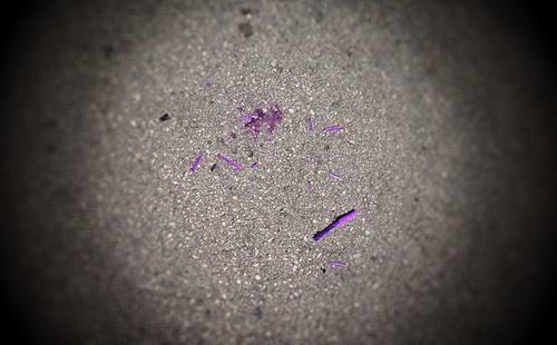 Death of Purple Prose Death of Purple Prose