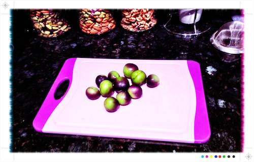 Indigo Green Tomatoes