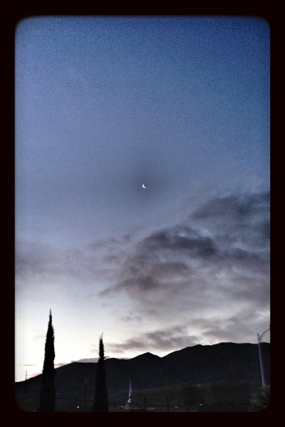 balsamic moon
