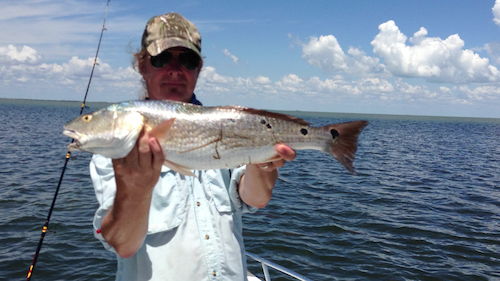 Redfish