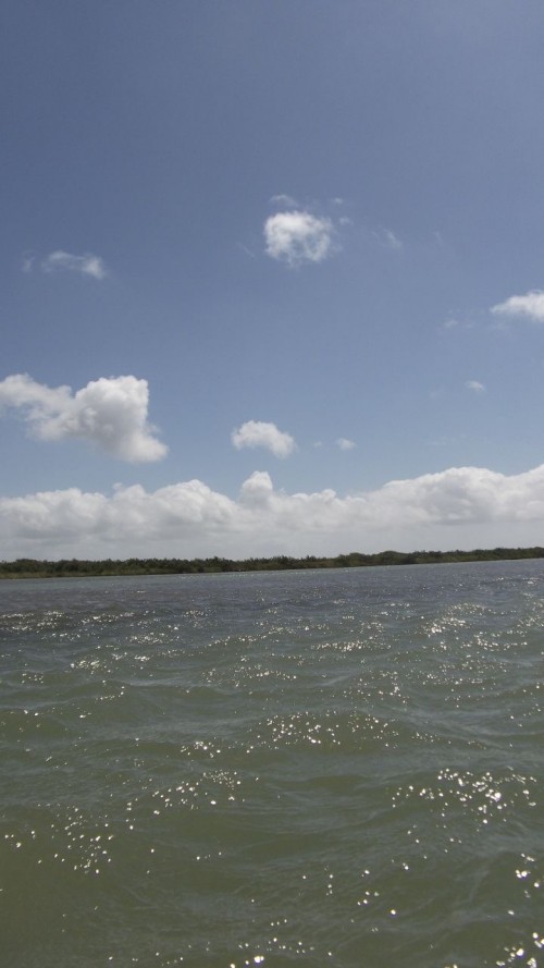 Coastal View