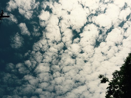 Summer Clouds