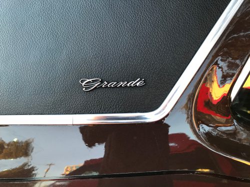 Mustang Grande