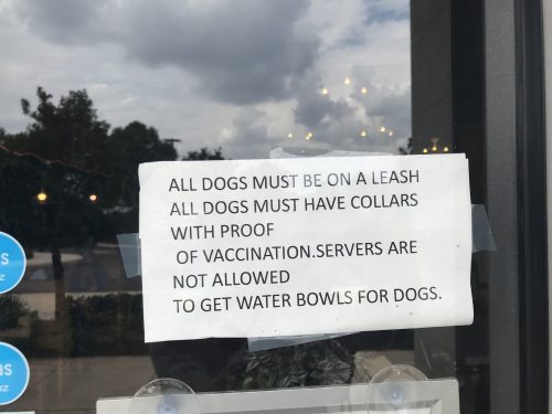 No Dog Water