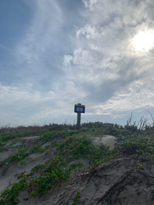 Marker 65 Mustang Island